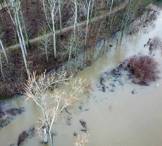 Lecture by Professor Ratko Ristić: The Role of Forest Ecosystems in Soil Erosion and Torrential Floods – Serbia 2025
