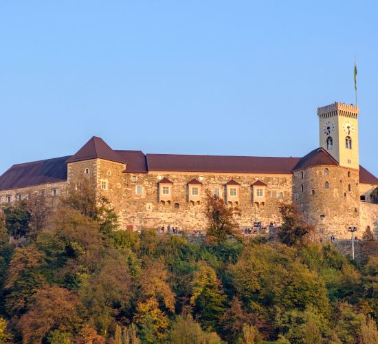 Round Table on the Serbs in Slovenia: History, Demography, Social Organisation, Status, and Rights
