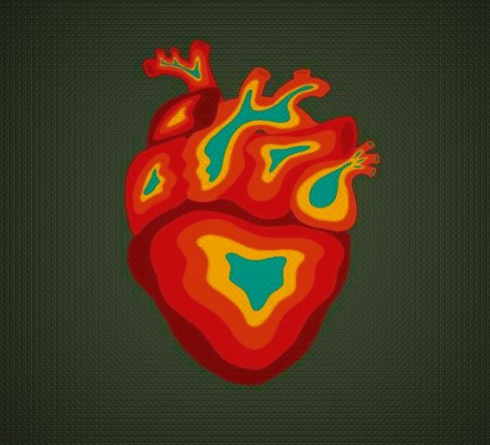 Annual Meeting of the SASA Board for Cardiovascular Pathology